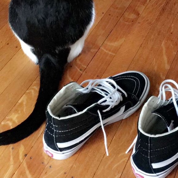 Meet your Posher, Ilsa - Picture 5 of 6